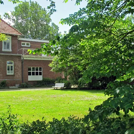 Butterburg - Dsl203 *